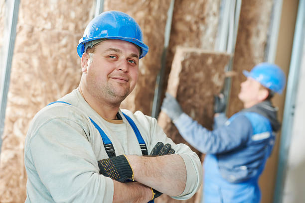 Best Spray Foam Insulation  in Hinsdale, IL